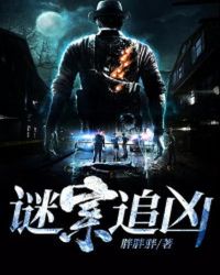 谜案追凶讲了什么故事